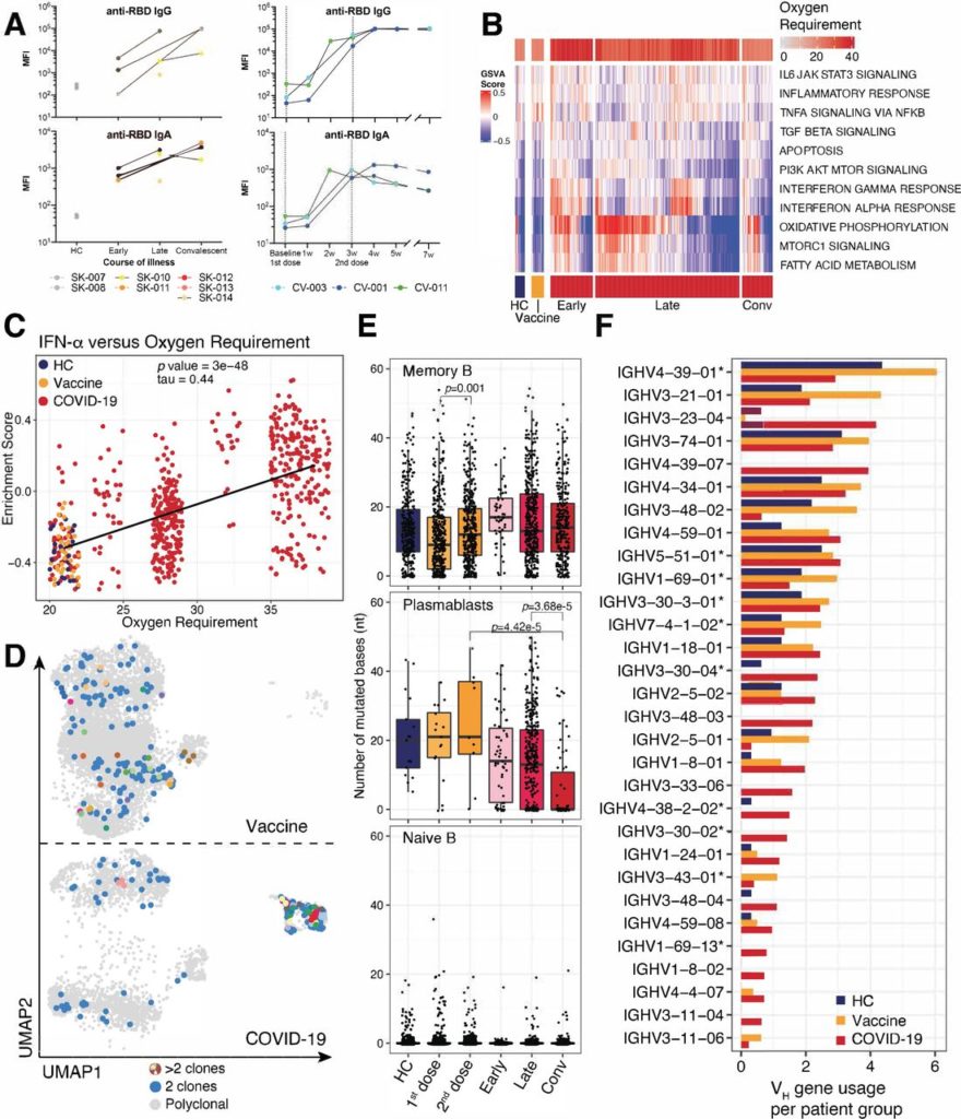 Data visualization - biotechnology, nanotechnology, engineering, life science