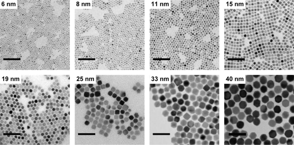 SEM of Iron Oxide Nanoparticles